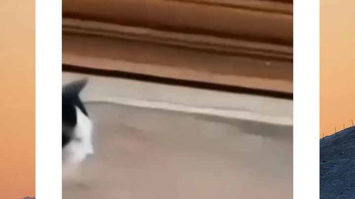 #malah make bando🤣