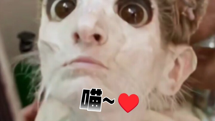 Paling suka kucing yang manis dan penurut~