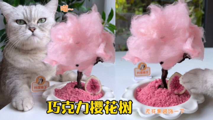 A cherry blossom tree made of chocolate—even the soil is edible!