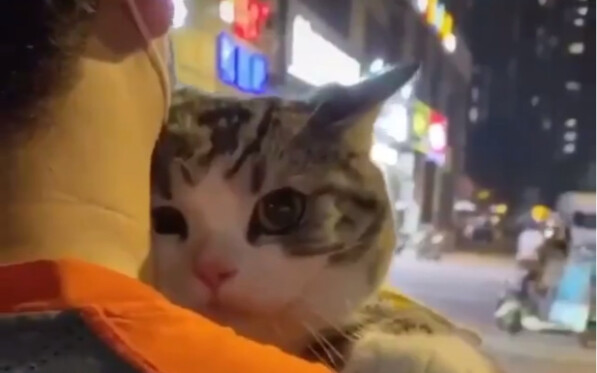 ลูกสาวเหรอ?