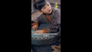 Naituan ditemukan dan keluarga kerajaan yang punah bersaing untuk memanjakannya