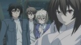 Sekirei「AMV」- Cold in the Water