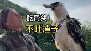 那些让人惊叹的动物视频！