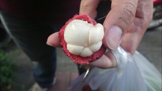 how to easy peel and eat Mangosteen มังคุด วิธีปอกมังคุด Eating Thai Fruit