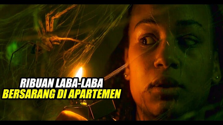 FILM INI TERLALU MENGERIKAN !! - BAGI YANG TAKUT LABA-LABA JANGAN NONTON !!