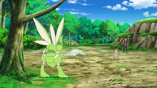 Pokemon Tập 1096: Thu phục Pokemon số lượng lớn! Đường đến với Mew!!