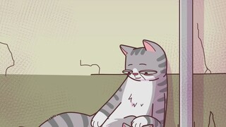 القطة لا تعرف شيئا سوى أن أمها موجودة دائما.