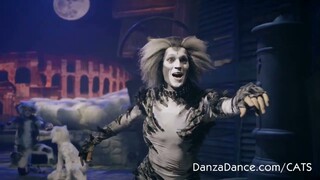 🐱 CATS il Musical 🎵 al #TeatroSistina #Roma