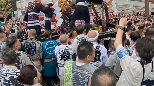 【Asakusa】Sanja Matsuri 2025 Grand Procession | Tokyo’s Most Intense Festival Walk【4K】