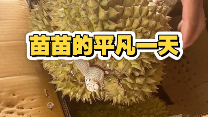 和我一起去买榴莲吧～～