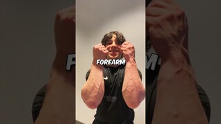 17 year old Baki Hanma Forearm Workout