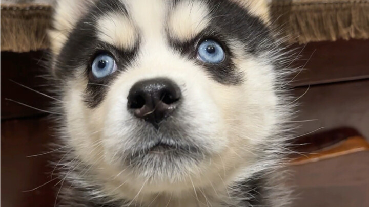 เลี้ยงลูกน่ะ ใครจะไม่บ้าได้ล่ะ?