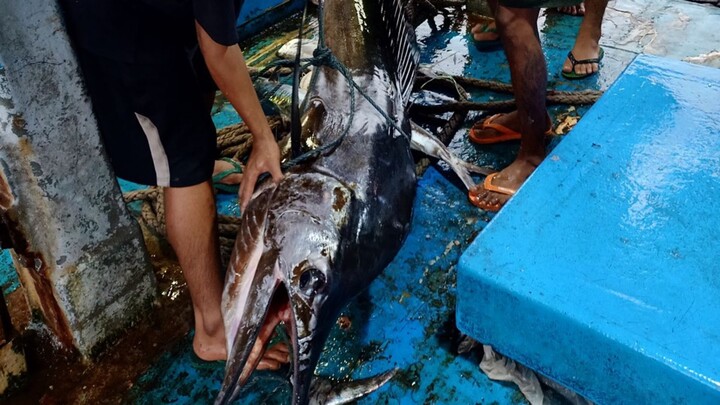 Oprasi laut marokean