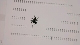 Implementing a dimensionality reduction attack on jumping spiders