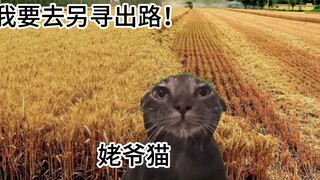 [Cat meme] พรีเควลเกี่ยวกับปู่ของฉันที่จะเป็นหมอ