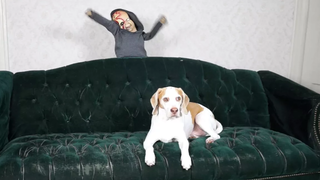 Zombie Baby Pranks Dog สุนัขตลก Maymo