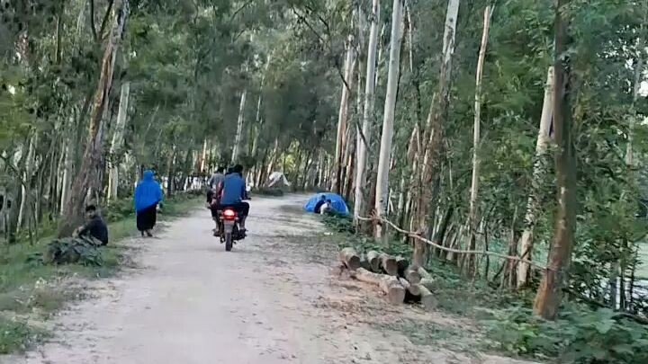"গন্তব্য যাই হোক, যাত্রাপথ সুন্দর হলে মন এমনিতেই ভালো হয়ে যায়। 🌾✨"