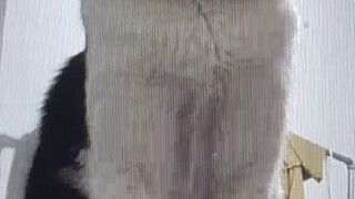 حالة البث المباشر تكون هكذا (هل تشبه حالتك أثناء الحصص الدراسية؟)