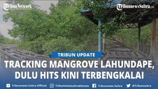 Dulu Jadi Tempat Wisata, Kondisi Tracking Mangrove Lahundape Kendari Kini Jadi Lokasi Berburu Kerang