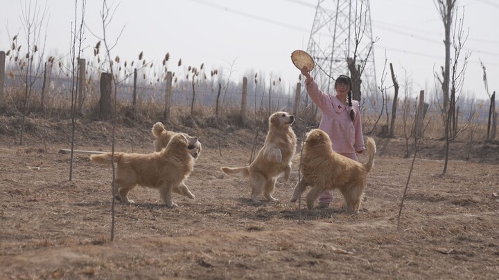 There’s a reason why some dogs just can’t seem to lose weight.