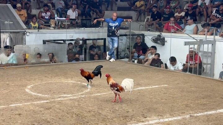 PCC 3 COCK @SOLANA SPORTS AND AMUSEMENT CENTER- WLW