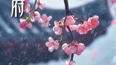 🎬รอยแค้นในสายเลือด 🗣พากย์ไทย(เต็มเรื่อง)