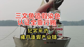 Mengungkap skema penipuan pewarnaan salmon budidaya Australia dan menyamarkannya sebagai salmon liar