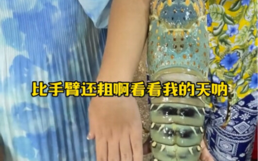 So sánh món tái sống Thái Lan với món tái sống Triều Sán, cả hai đều rất tuyệt, bạn có thể tự làm tạ
