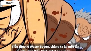 Top 7 Thánh Bựa Cực Kì Lầy Lội Trong One Piece #3- 3