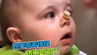 世界奇奇怪怪，幼崽可可爱爱～