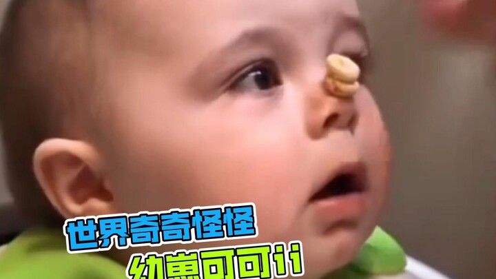 世界奇奇怪怪，幼崽可可爱爱～