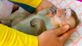 Healthy Massage!! Tiny Toto really comfortable when Mom gently massage for her