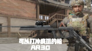 The Best Burst Sniper AR30 for Dark Zone in "Enlisted"