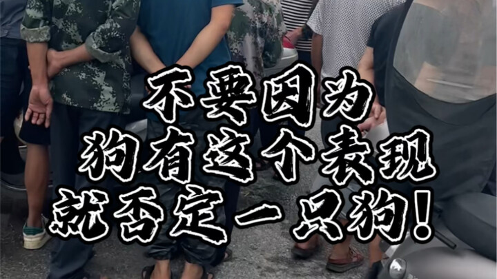 Đừng vì chú chó có biểu hiện này mà bỏ lỡ một chú chó tốt