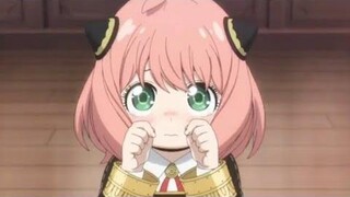 Spy x Family 「AMV」อพอลโล