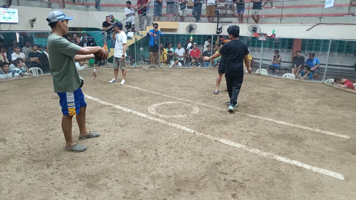 Golden boy sweater in action