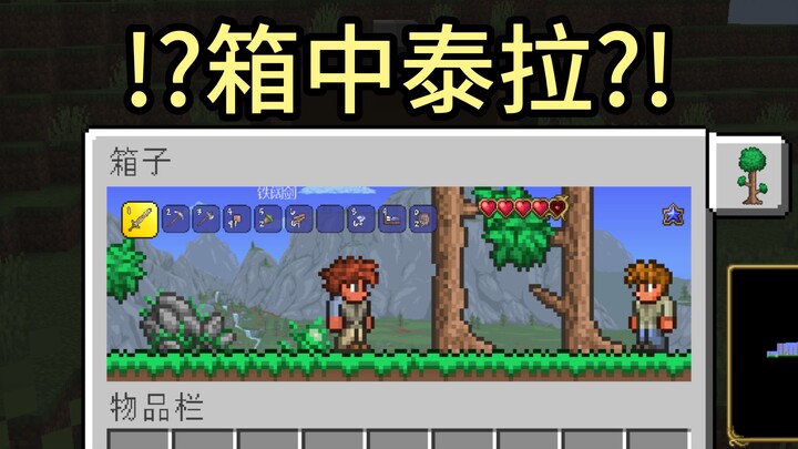 Playing Terraria in an MC chest and trading items with each other.
