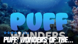 Puff.Wonders.of.the.Reef.2021.1080p