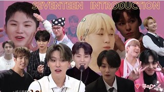 Seventeen introduction
