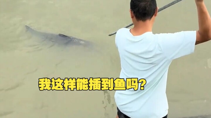 Fish: Even with a chance, you’re still no good.