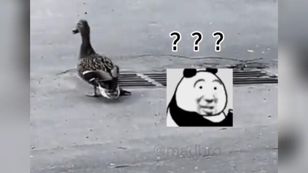 الأخير هو الوحيد الذي يفهم تعقيدات العلاقات الإنسانية.