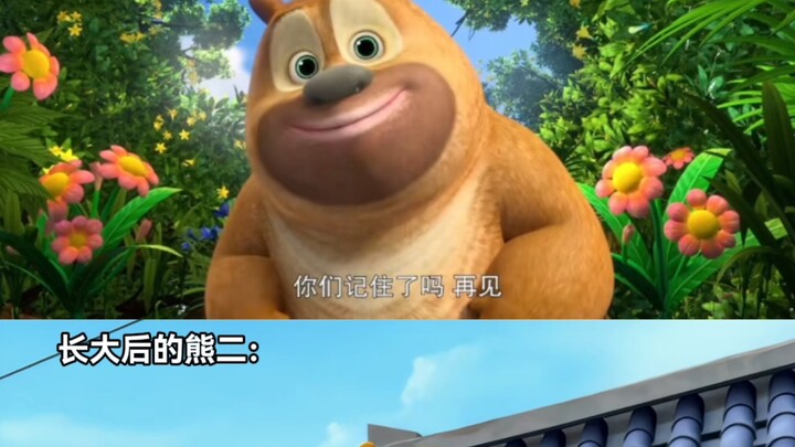 หมีเอ้อเอ๋อรุ่นเด็ก vs หมีเอ้อเอ๋อรุ่นโต