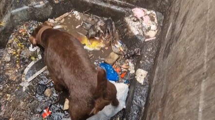 ร้านบุฟเฟต์