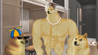 CHEEMS Plays Hip-Hop