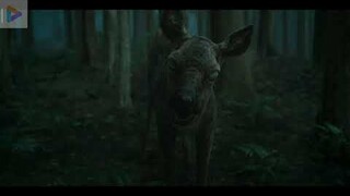 "Ashin Of The North" Zombie Deer VS Tiger Clip