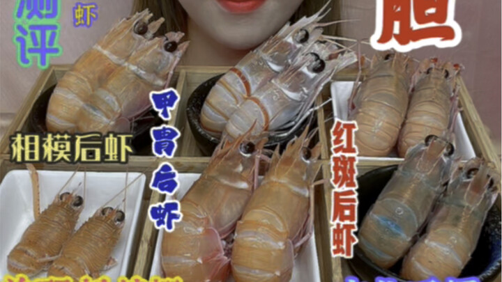 Enam jenis udang lobster laut dan tiga bulu babi laut