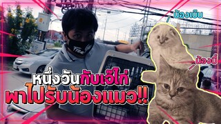 ภารกิจทาสแมว รับน้องแมววันแรก!