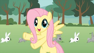 ปาร์ตี้กระต่าย (MLP Animation)