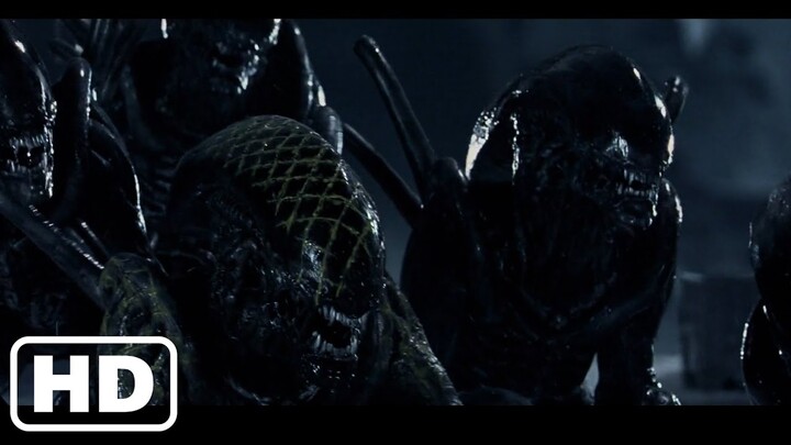 Alien vs. Predator - The Final Battle - Best Fight Scenes
