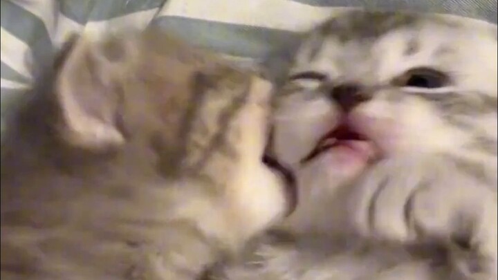 Kita berdua nomor satu di dunia, yang paling hebat!